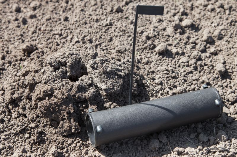 Accessibility Factors