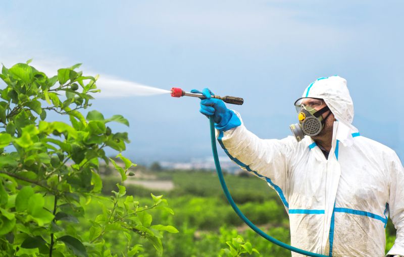 Fumigation Service in Coeur D Alene, ID