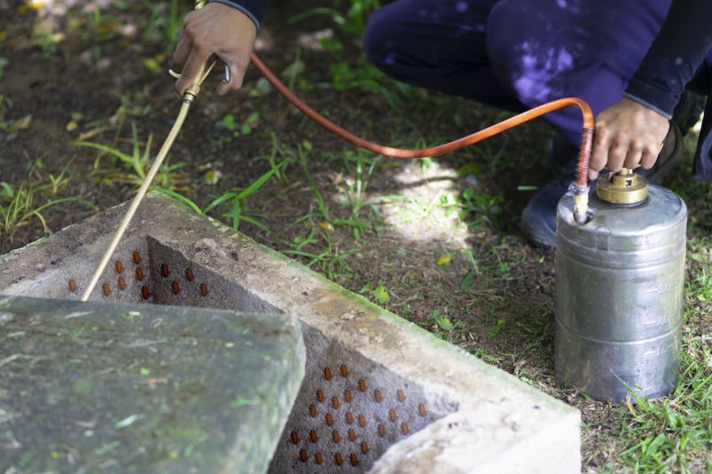 Pest Fumigation Service in Winston Salem, NC