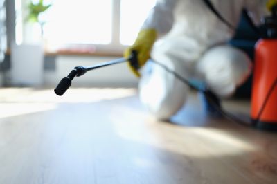 Pest Fumigation Service in Lafayette, LA