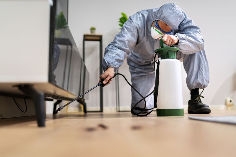 Spider Fumigation Service in Coeur D Alene, ID