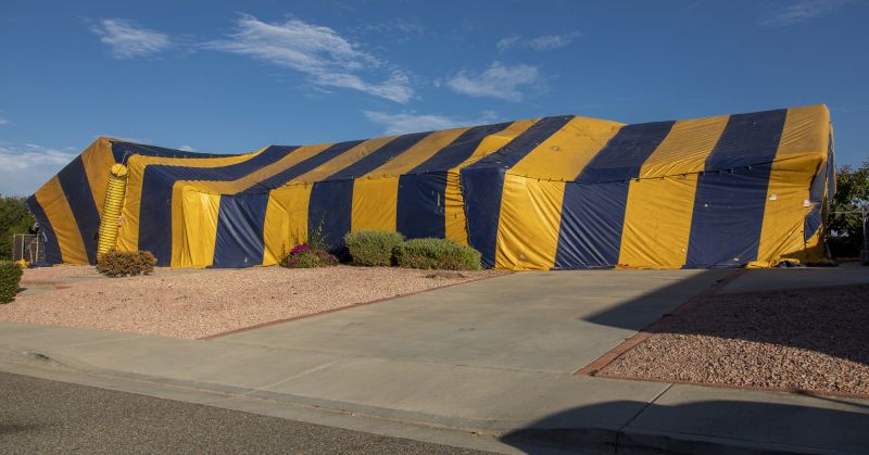 Termite Tenting in Fort Collins, CO